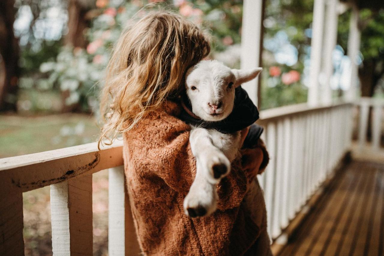 Margaret River Holiday Cottages Екстер'єр фото
