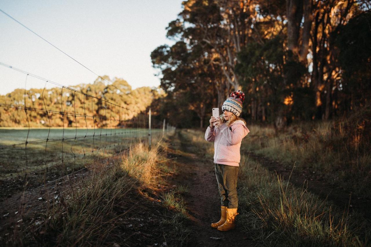 Margaret River Holiday Cottages Екстер'єр фото