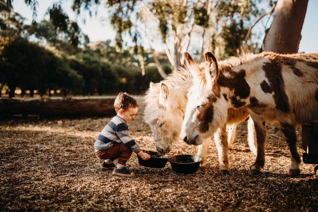 Margaret River Holiday Cottages Екстер'єр фото