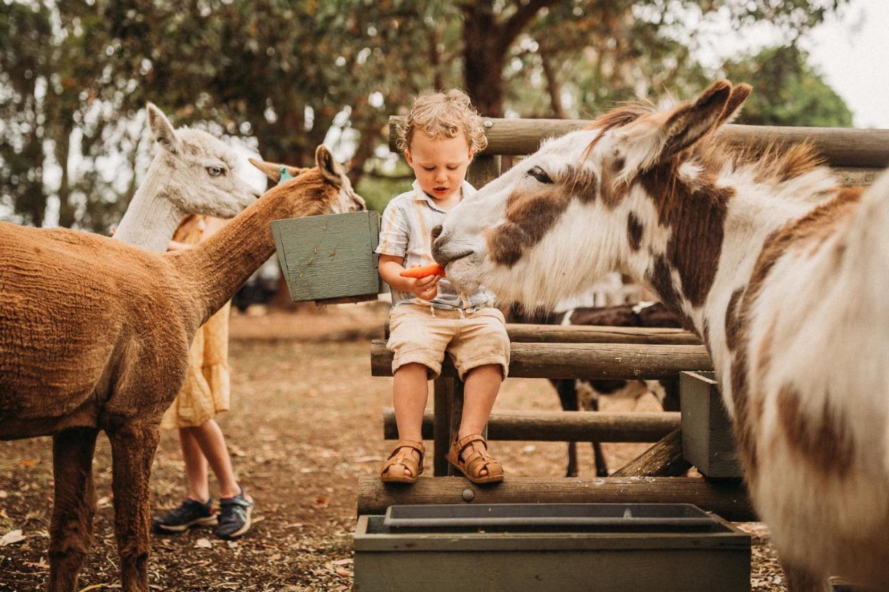 Margaret River Holiday Cottages Екстер'єр фото