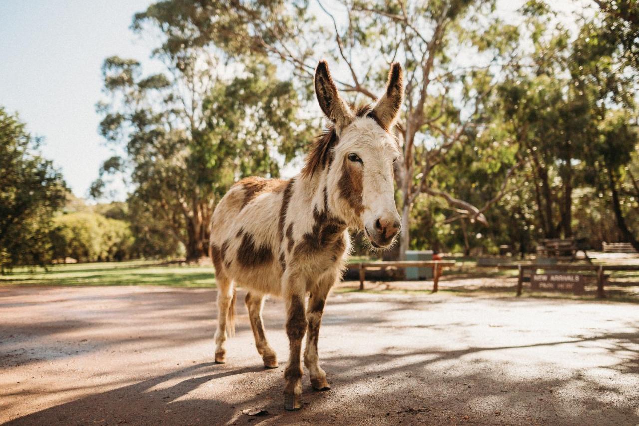 Margaret River Holiday Cottages Екстер'єр фото