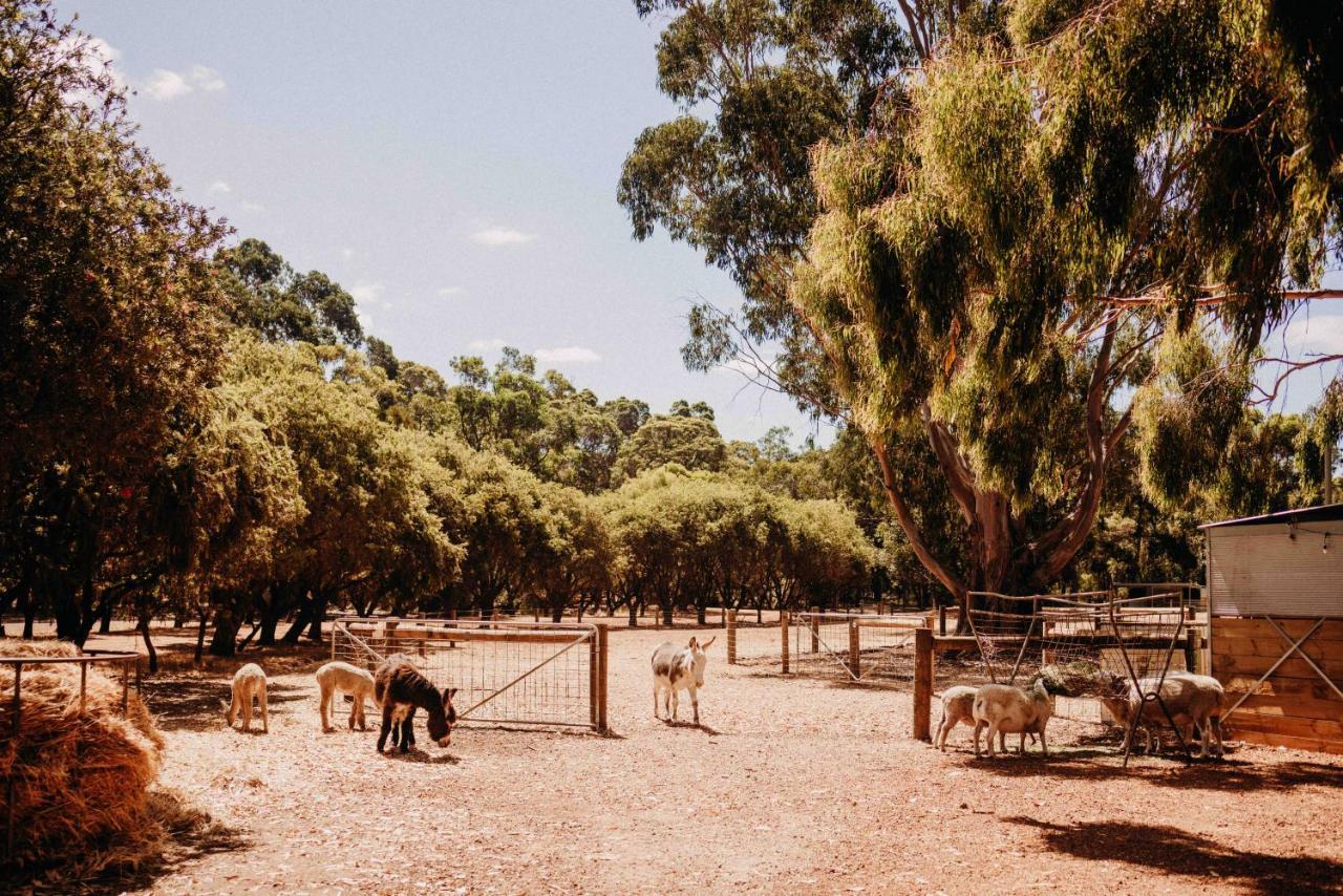 Margaret River Holiday Cottages Екстер'єр фото