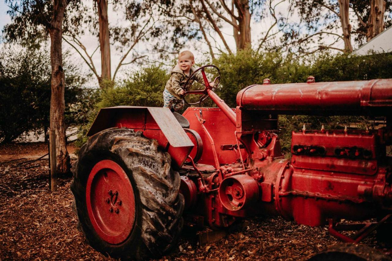 Margaret River Holiday Cottages Екстер'єр фото