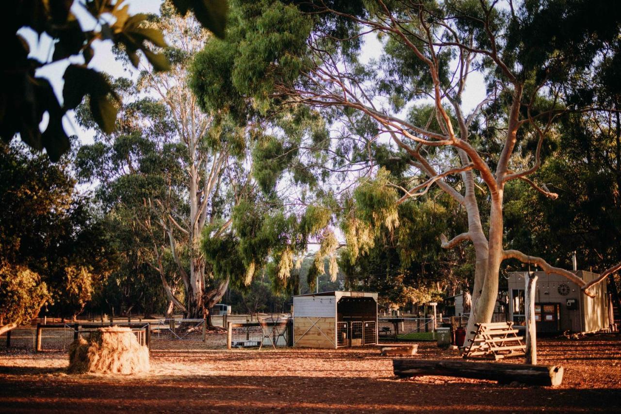 Margaret River Holiday Cottages Екстер'єр фото