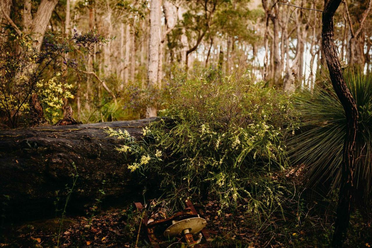 Margaret River Holiday Cottages Екстер'єр фото