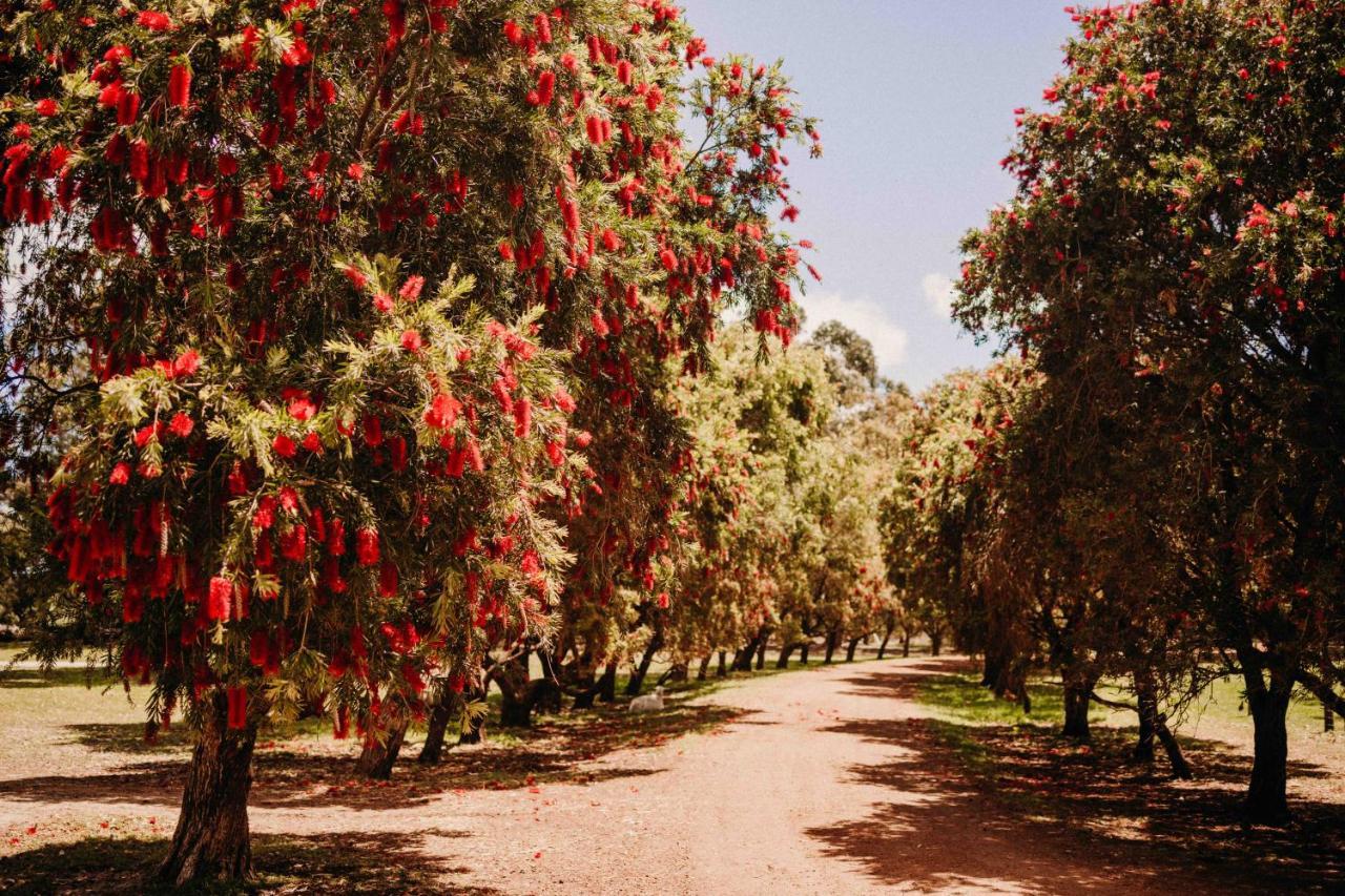 Margaret River Holiday Cottages Екстер'єр фото